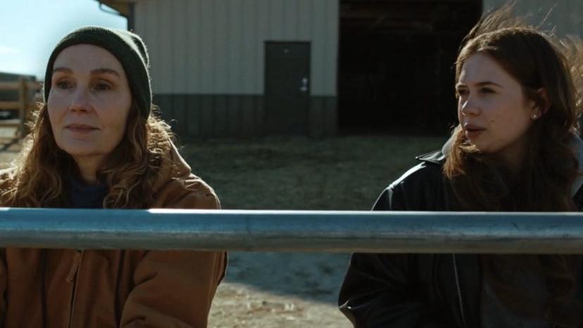 Feed The Horses | Short Film Nominee