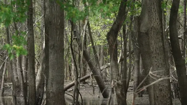 Flood Plain | Short Film Nominee