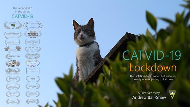Catvid-19: Lockdown