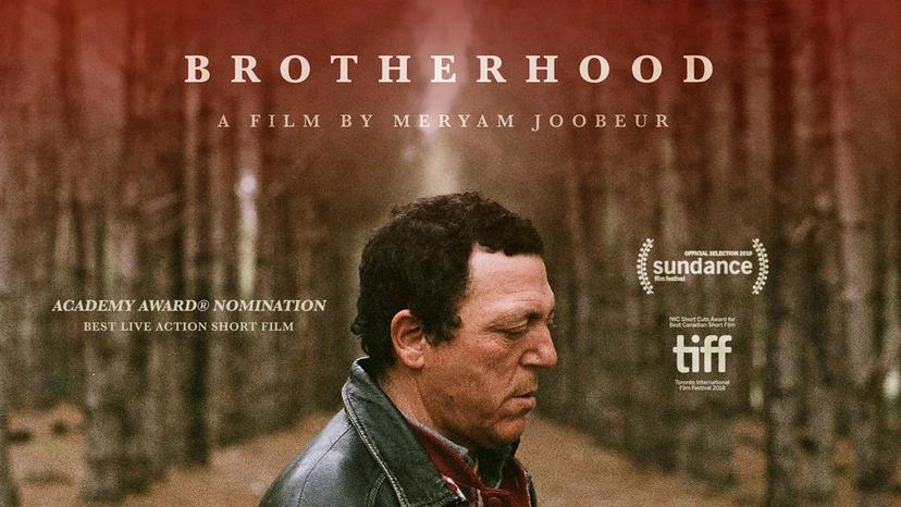 Brotherhood | Short Film of the Day