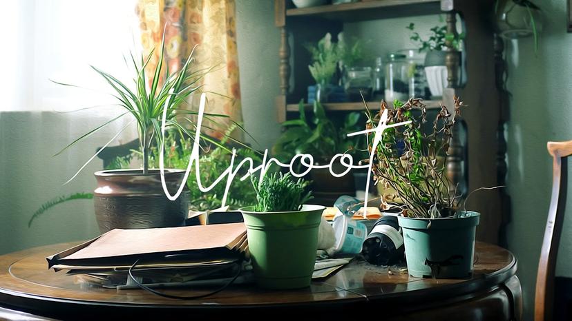 Uproot | Short Film of the Day