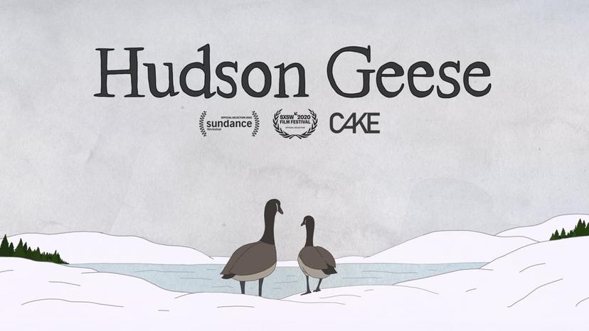 Hudson Geese | Short Film of the Day