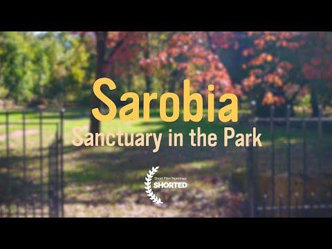 Sarobia: Sanctuary in the Park | Short Film Nominee